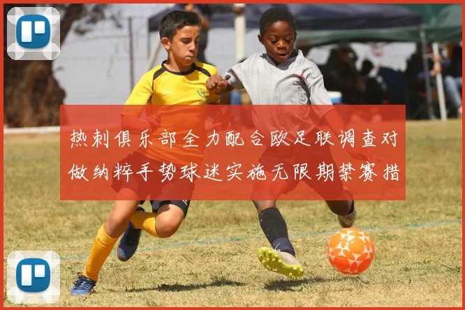 热刺俱乐部全力配合欧足联调查对做纳粹手势球迷实施无限期禁赛措施