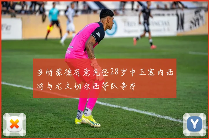 多特蒙德有意免签28岁中卫塞内西将与尤文切尔西等队争夺