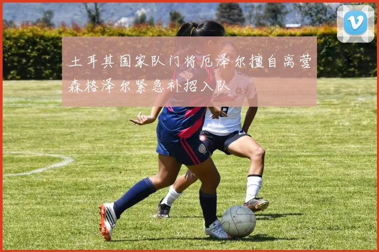 土耳其国家队门将厄泽尔擅自离营森格泽尔紧急补招入队
